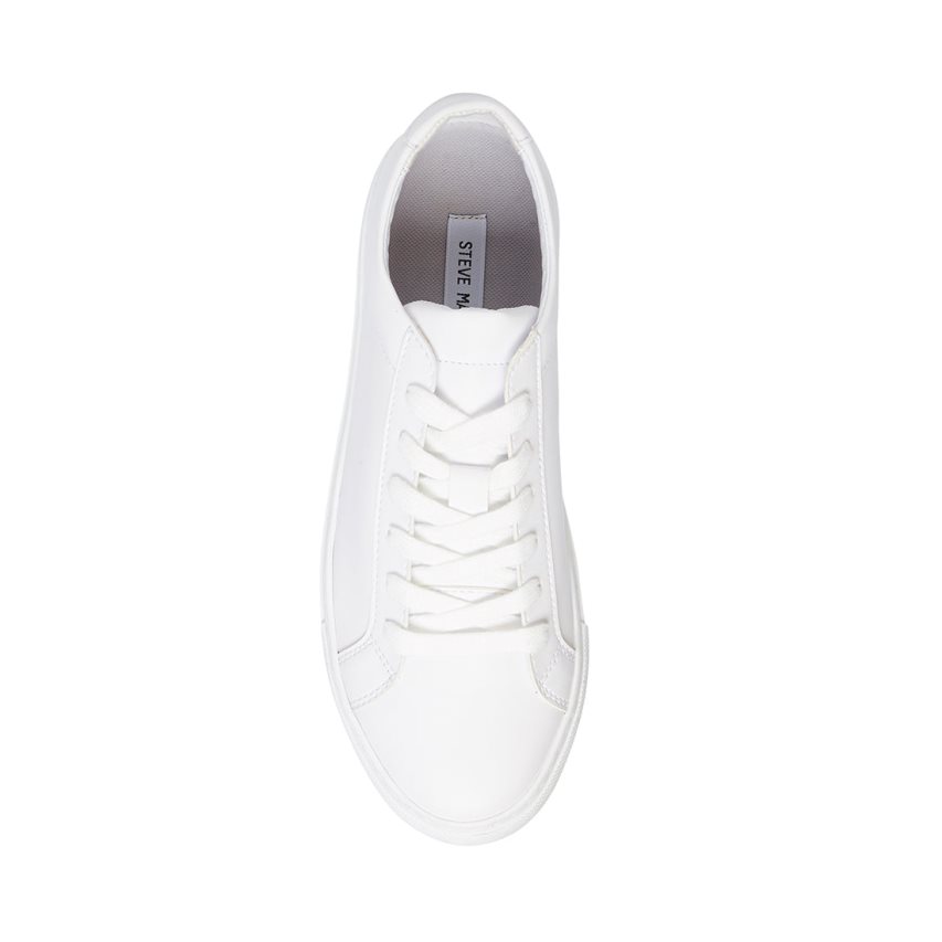 White Steve Madden Bolo Men's Sneakers | PH 3705PCV